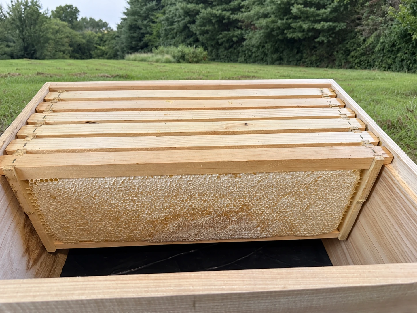 Wooden frames filled with capped honey from Pa’s Honey